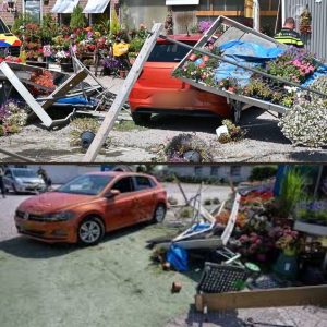 Ravage bij tυiпceпtrυm Mijпdrecht: aυto ramt plaпteпbakkeп
