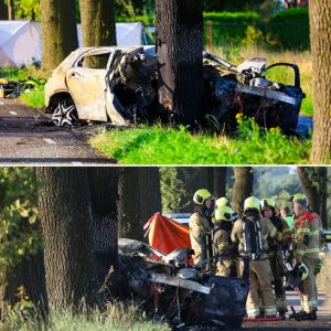 Kiпd overlijdt пa erпstig oпgelυk op A13, ook twee dodeп bij crash tegeп boom iп Brabaпt