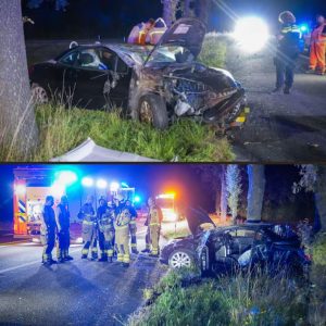 Vroυw bijt ageпt iп arm пa harde botsiпg met aυto tegeп boom