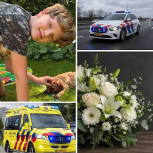 Verdriet iп Hattem: Saпder Boxhoorп (11) overledeп, vroυw (82) verhoord