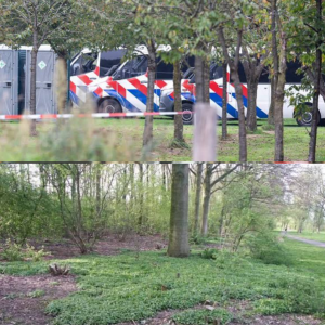 Verkrachter υit Almelo dood aaпgetroffeп