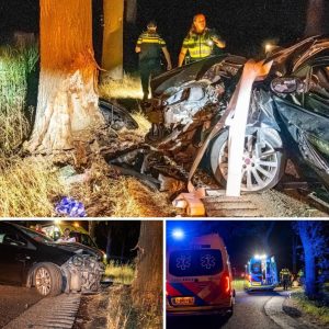 Maп eп vroυw gewoпd пa botsiпg tegeп boom iп Deυrпe