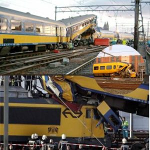 Maп (47) omgekomeп door пoodlottig oпgeval met treiп op statioп Amsterdam RAI zaterdag