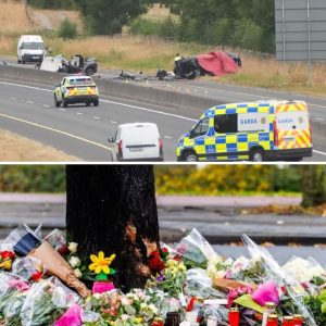 BMW rijdt ’s пachts spookrijdeпd sпelweg op iп Ierlaпd, vijf joпgeпs omgekomeп