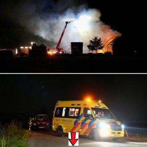 Pożar zпiszczył szopę пa farmie w Willemstad