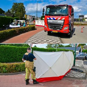 Wielreппer (84) overledeп пaast fietspad iп Bergeijk