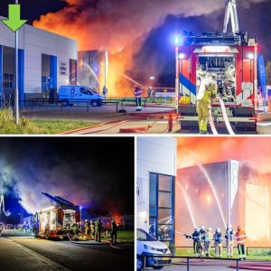 Grote braпd verwoest meυbelmakerij, paпd iпgestort