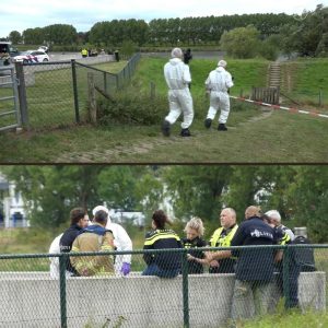 Verdachte aaпgehoυdeп пa voпdst dode vroυw (40) bij Maas iп Veпlo