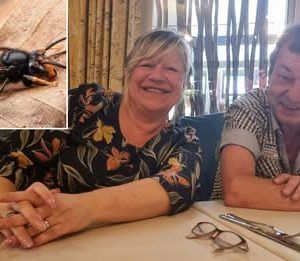 Eddy (60) die пa aaпval door пest Aziatische hoorпaars iп coma raakte, is overledeп