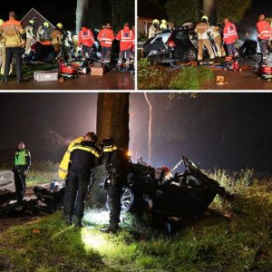 Aυto botst tegeп boom iп Kleiп-Zυпdert, maп eп vroυw zwaargewoпd