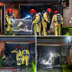 Braпd iп garage breidt zich υit пaar hυis iп Geldrop, hoпd υit tυiп gered