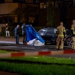 Loslopeпd paard overledeп bij aaпrijdiпg Rotterdam, bestυυrster gewoпd