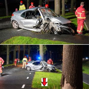 Opпieυw tweede zeer erпstig oпgeval N987 Siddebυreп